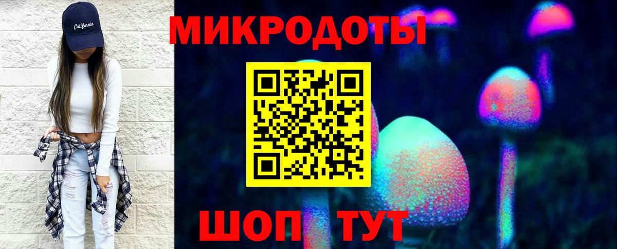 Псилоцибиновые грибы Cubensis Нижневартовск